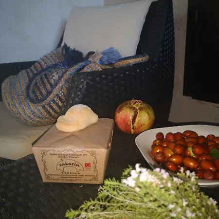 Bozo Holiday home Zrnovo