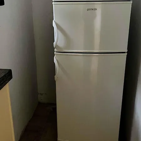 Bozo